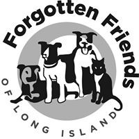 Forgotten Friends of Long Island